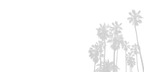 Palm trees background
